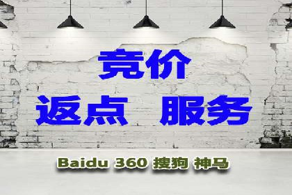 专业SEM托管服务，案例解读SEO优化策略
